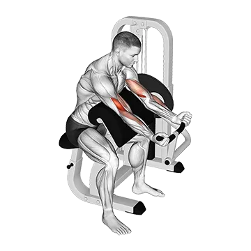 Lever Preacher Curl