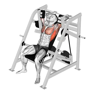 Lever Pullover (Plate Loaded)