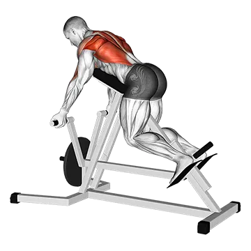 Lever Reverse T Bar Row