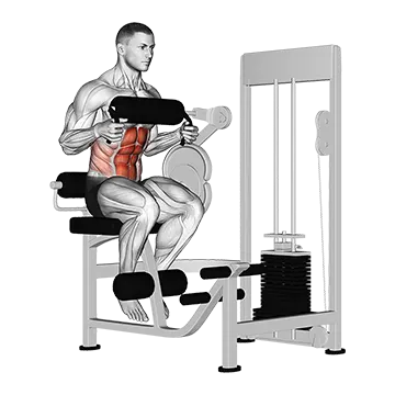 Lever Seated Crunch (Chest Pad)