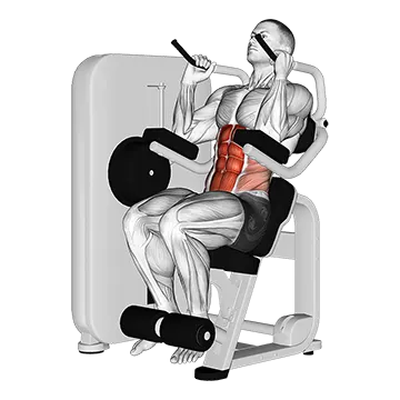 Lever Seated Crunch