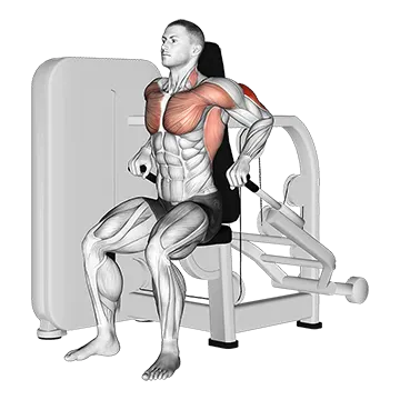 Lever Seated Dip