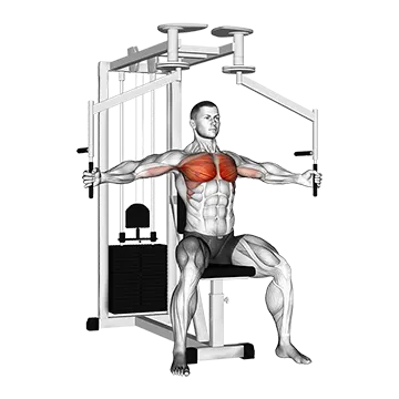 Lever Seated Fly