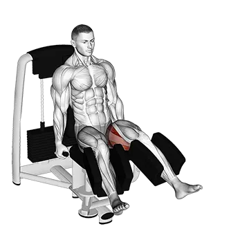Lever Seated Hip Abduction (VERSION 2)