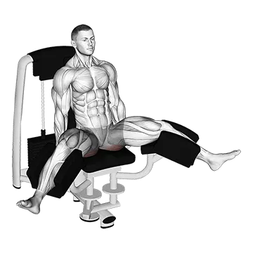 Lever Seated Hip Adduction (VERSION 2)