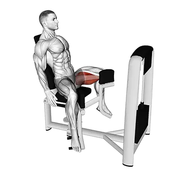 Lever Seated Hip Adduction