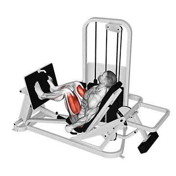 Lever Seated Leg Press