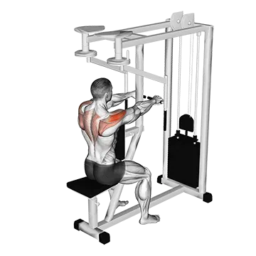 Lever Seated Reverse Fly