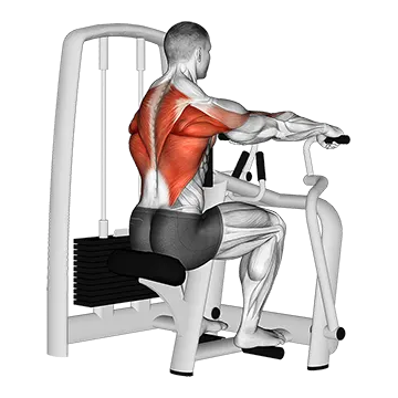 Lever Seated Row