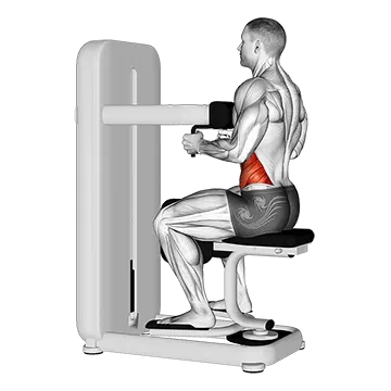 Lever Seated Twist