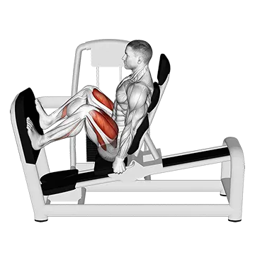 Lever Seated Wide Squat