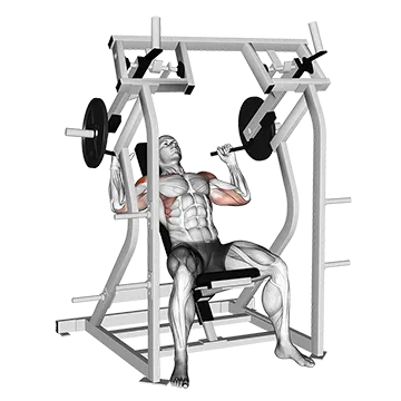Lever Shoulder Press (Plate Loaded) II