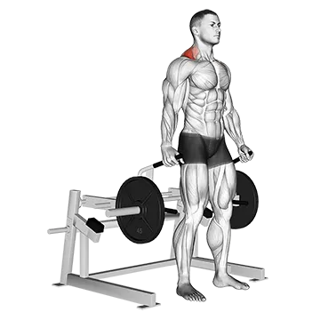 Lever Shrug (Plate Loaded)