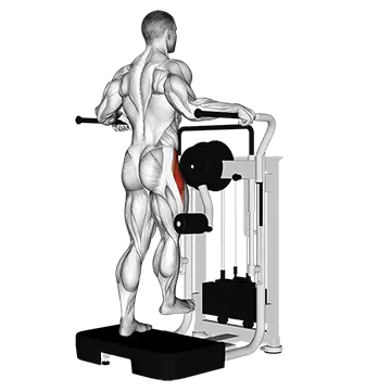 Lever Side Hip Abduction