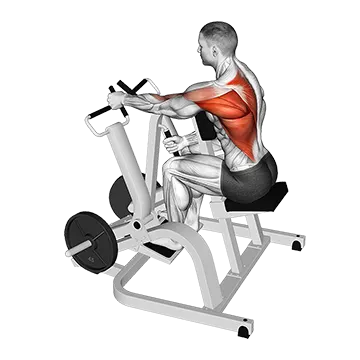 Lever Single Arm Neutral Grip Seated Row (Plate Loaded)