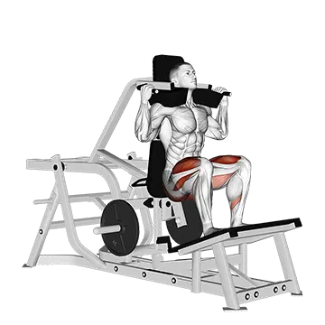 Lever Squat (Plate Loaded)