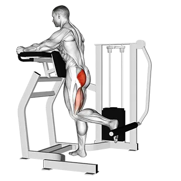 Lever Standing Hip Extension