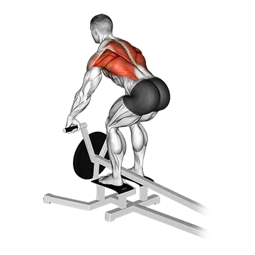 Lever T Bar Row (Plate Loaded)