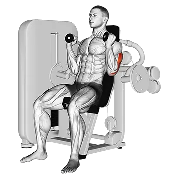 Lever Triceps Extension