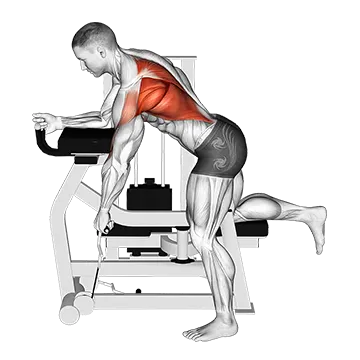 Lever Unilateral Row