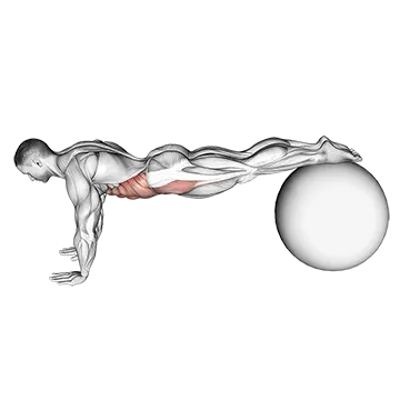Pull In (On Stability Ball)