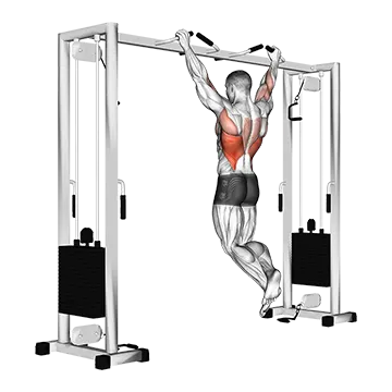 Pull Up (Neutral Grip)