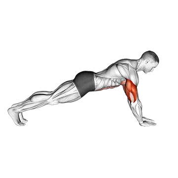 Push Up On Forearms