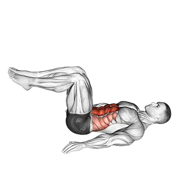 Reverse Crunch M