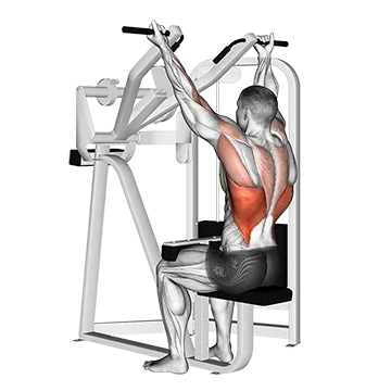 Reverse Grip Machine Lat Pulldown
