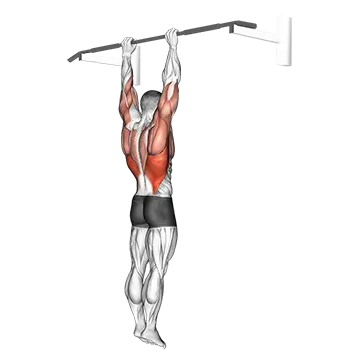 Shoulder Grip Pull Up