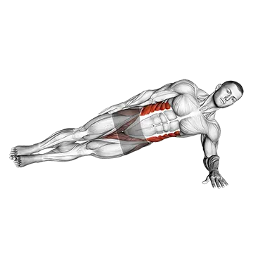 Side Plank (Male)