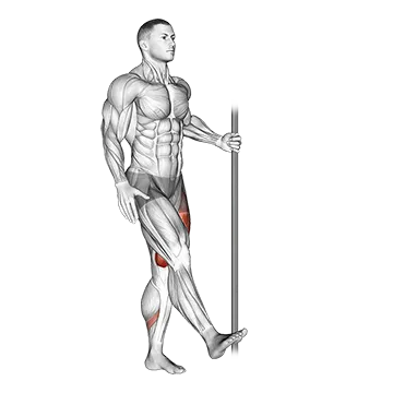 Single Leg Squat With Support (Pistol)