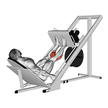 Sled 45° Calf Press
