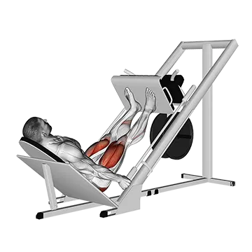 Sled 45° Leg Press