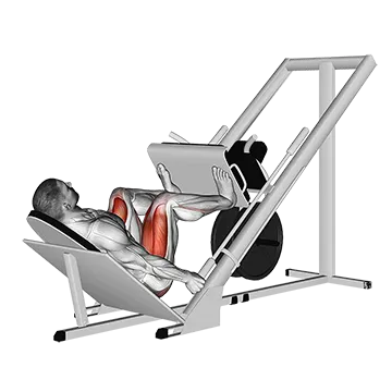 Sled 45° Leg Wide Press
