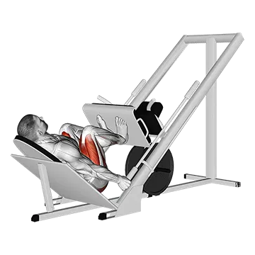 Sled 45° Narrow Stance Leg Press