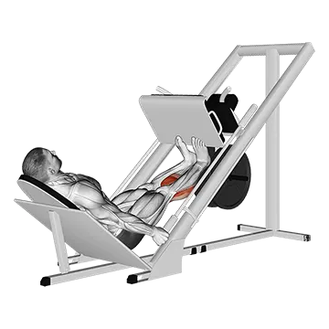 Sled Calf Press On Leg Press
