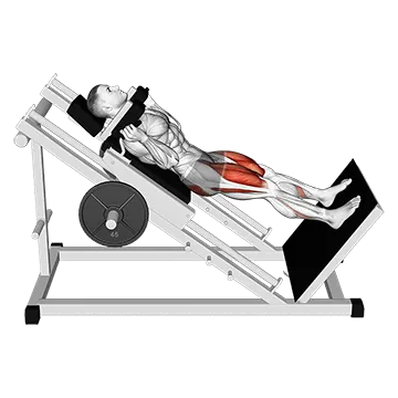 Sled Full Hack Squat