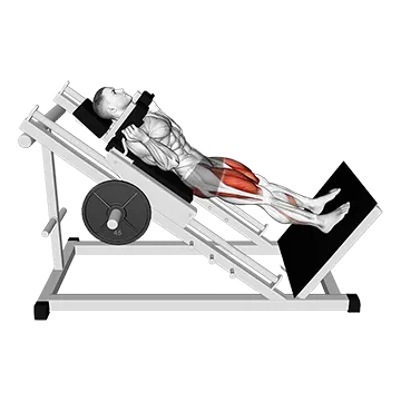 Sled Hack Squat