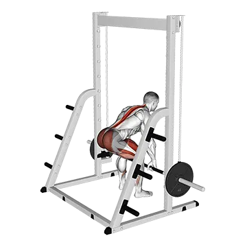 Smith Deadlift