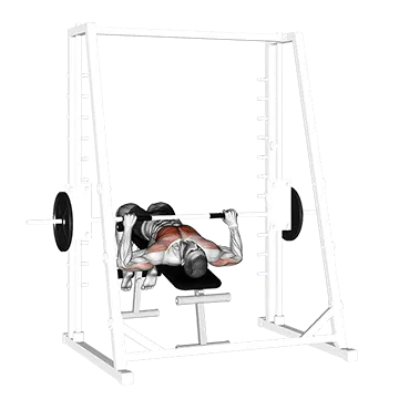 Smith Decline Bench Press