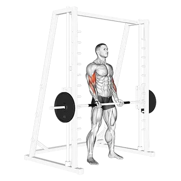 Smith Machine Bicep Curl