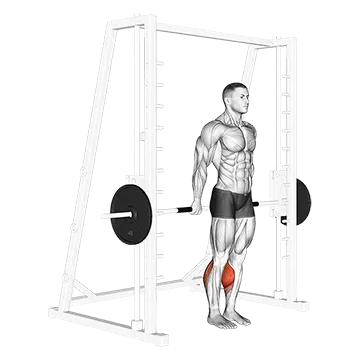 Smith Reverse Calf Raises