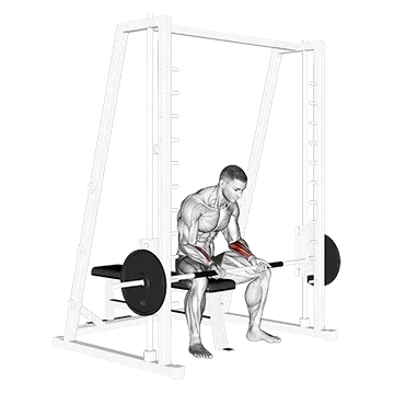 Smith Seated Wrist Curl