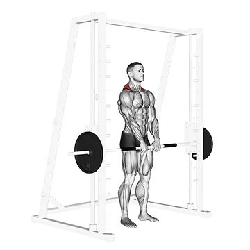 Smith Shrug