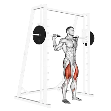 Smith Squat