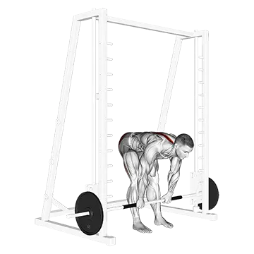Smith Stiff Legged Deadlift