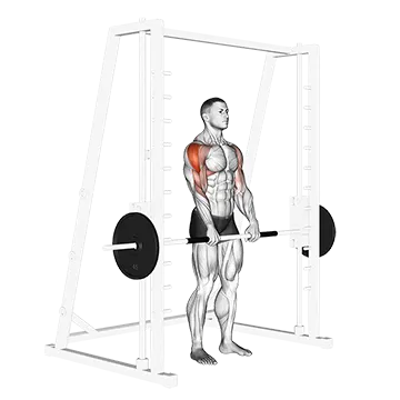 Smith Upright Row