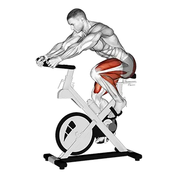 Stationary Bike Run (Version 3)