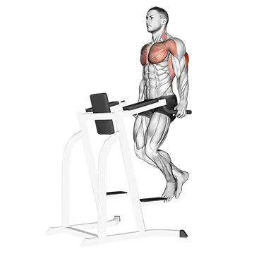 Triceps Dip